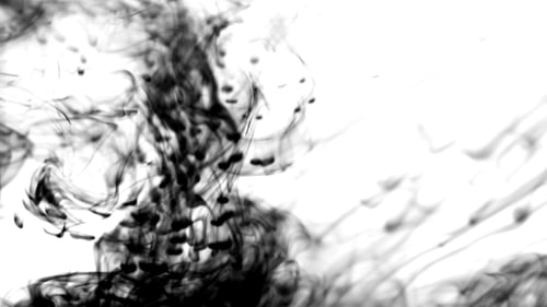Abstract Black Ink Diffusing in White Background
