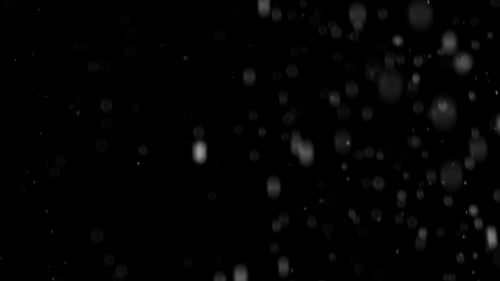 Nacht Snow
