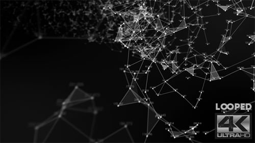 Plexus Tunnel Loop With Numbers Ver.1