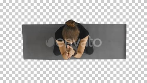 Portrait of attractive young woman working, Alpha Channel