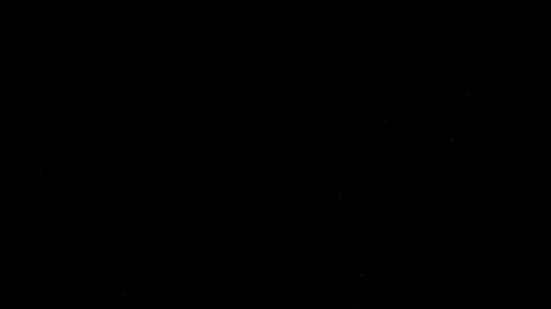Snow Flakes Against Black