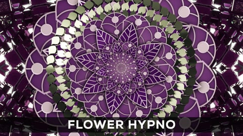 Blume Hypno