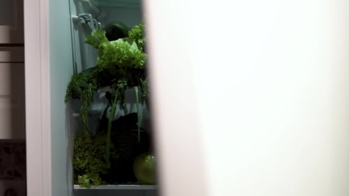 Vegetables and Fruits in Refrigerator