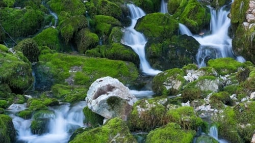 River Fall Among Mossy Stones
