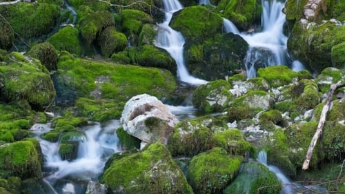 River Fall Among Mossy Stones