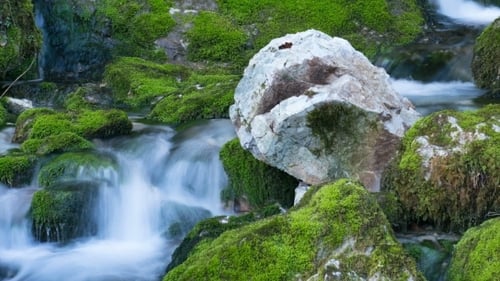 River Fall Among Mossy Stones