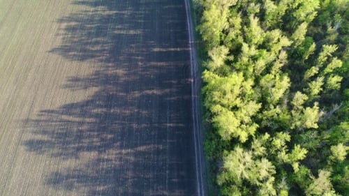 Flight Over a Field with Green Grass