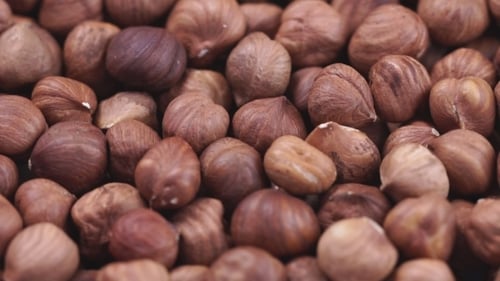 Hazelnut . Rotating Nuts Background