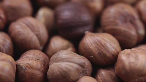 Pile of Shelled Hazelnuts Close Up View