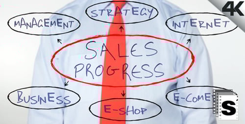 Sales Progress Diagram Written by Business Person