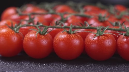 Fresh Cherry Tomatoes on the Vine, Close Up
