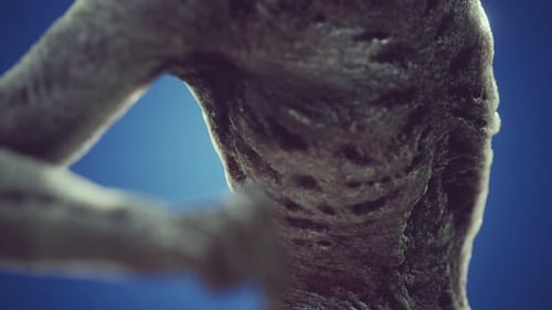 Animated Decaying Zombie Corpse with Textured Flesh