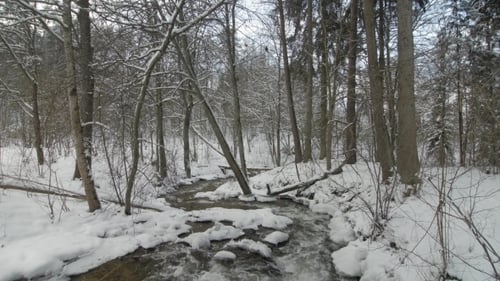 Small Creek in Winter Snowy Forest Among Snow Banks