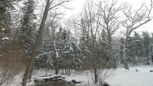Kleiner Bach im Winter, verschneiter Wald zwischen Schneebänken.