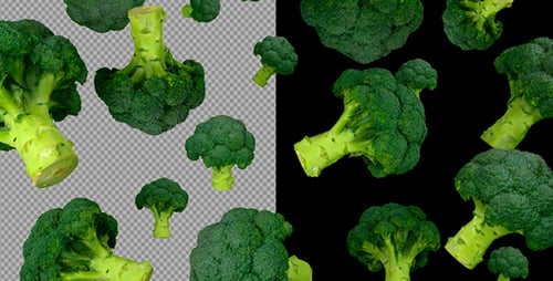 Falling Fresh Green Broccoli Florets Alpha Channel Loop
