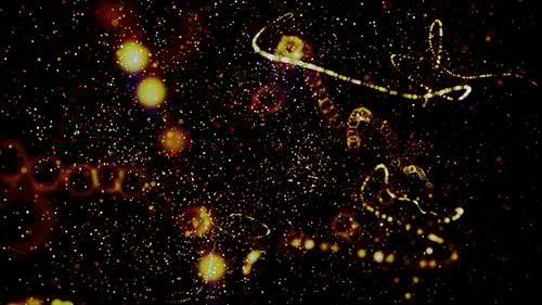 Dynamic Abstract Golden Particles Flowing Motion Background