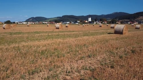 Flying Above Field with Round Haystacks