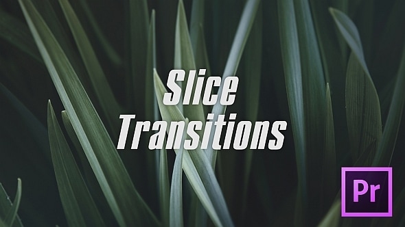 Cover for Slice Transitions