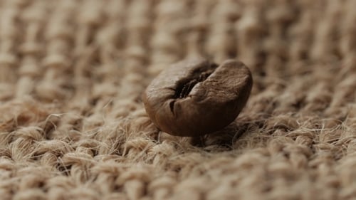 Close Up of Coffee Bean on Burlap
