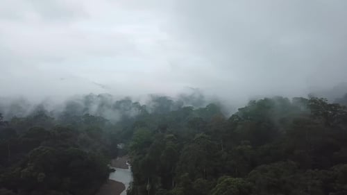 Aerial View of Misty Tropical Rainforest Landscape