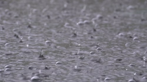 Während eines Regensturms fallen große Regentropfen in eine Pfütze