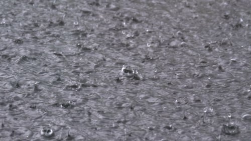 Large Drops of Rain Fall in a Puddle During a Rainstorm