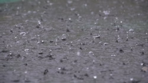 Während eines Regensturms fallen große Regentropfen in eine Pfütze