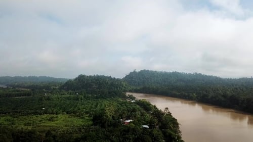 Tropical River