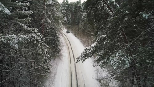 Aerial View of Car Moving in Winter Forest