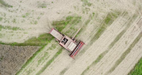 Landwirtschaftliche Erntemaschine Erntefeld Luftaufnahme