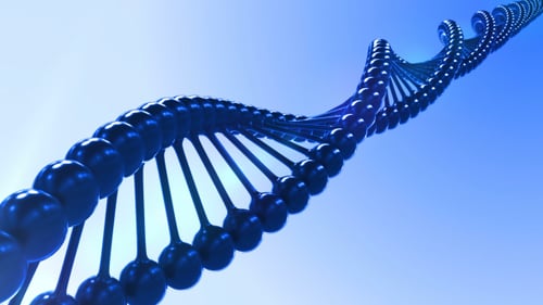 3D Rotating DNA Double Helix Animation