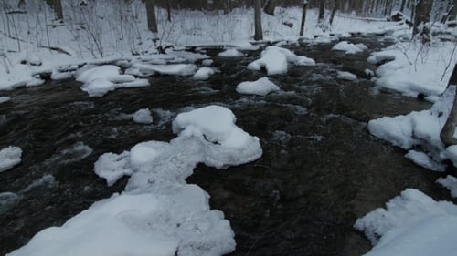Snowy River in Forest in the Winter.