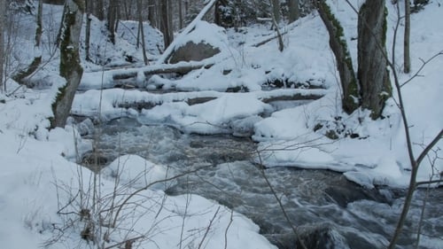 Mountain River Rapids in Winter.