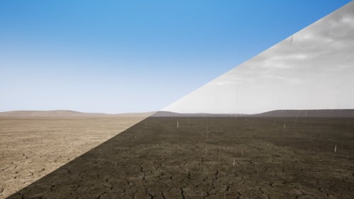 Desert to Fertile Land Transformation with Rain and Sprouting Seeds