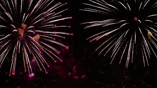 Colorful Fireworks Exploding in the Night Sky