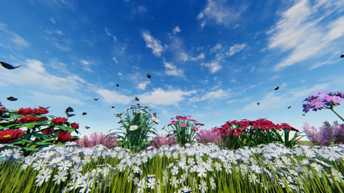 Blumen und Schmetterlinge
