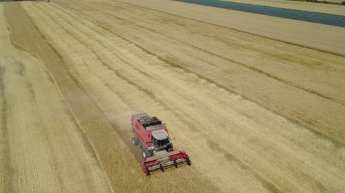Harvesting Combine In the Field