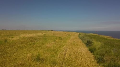 Flight Over the Green Field with a Flight To the Sea