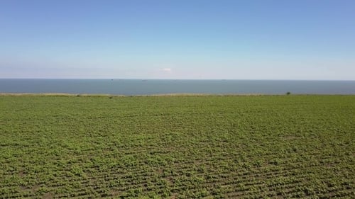 Flight Over the Green Field with a Flight To the Sea