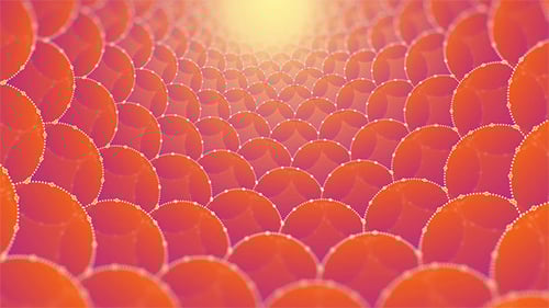 Fondo de anillos angulados dorados naturales de Fibonacci - 3 clips