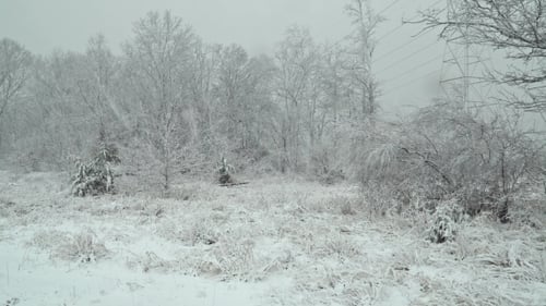 Starker Schneefall in einem Waldgebiet mit einer kleinen Hütte