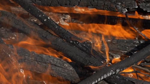 Forest Brush Fire Burning