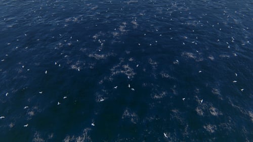 Realistic Flock of Seabirds Flying Over Deep Blue Ocean