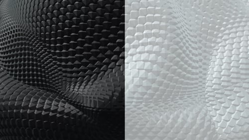 Black and White Boa Background Pack (2 videos)