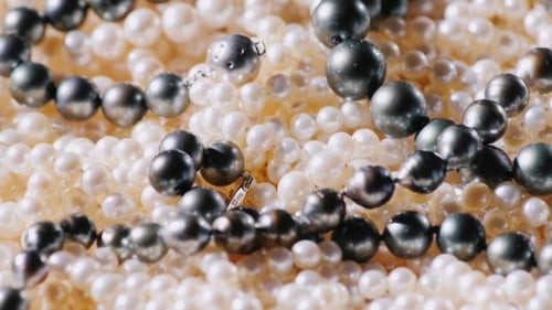 Pearls Necklaces Close Up Elegant Jewelry Fashion