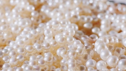 Lustrous Pearls Shimmering in a Close Up View