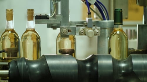 Moving on the Conveyor Are Bottles of Wine. Production of Wine at the Winery
