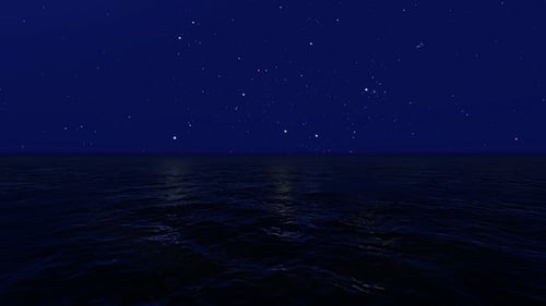 Sea Night