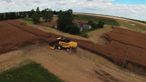 Combine Harvester Harvesting Large Field