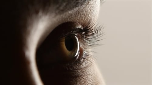 Intimate Close-up of a Human Eye